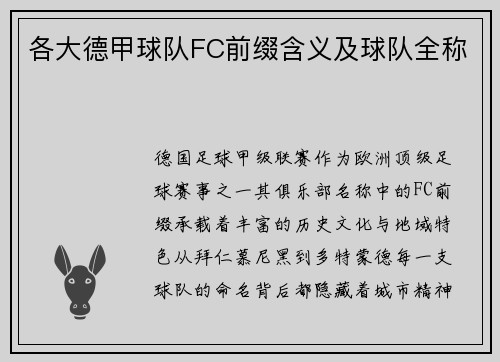 各大德甲球队FC前缀含义及球队全称