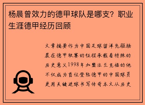 杨晨曾效力的德甲球队是哪支？职业生涯德甲经历回顾